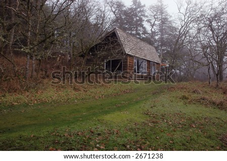 Little house in the forest