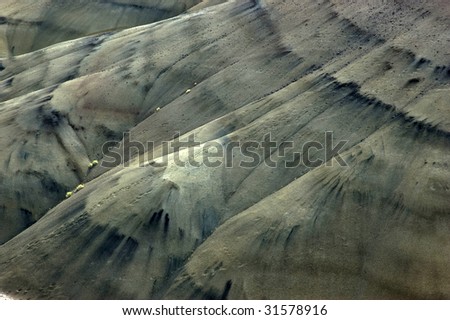 The subtle colors of the Painted Hills, part of the John Day Fossil Beds National Monument in Central Oregon