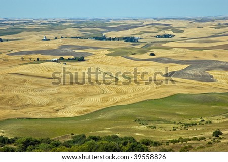 rolling crops