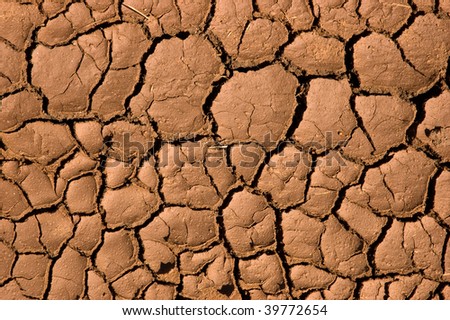 Cracks in the earth caused by drought and extreme temperature