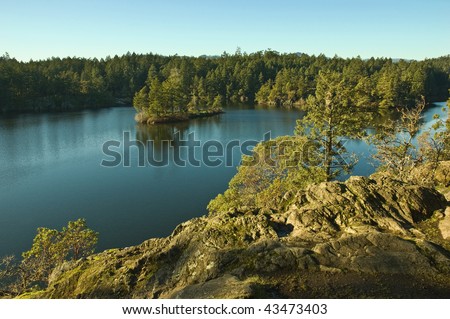 Small treed island in Thetis Lake on Vancouver Island