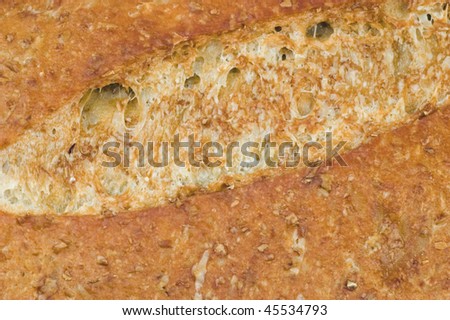 Fresh whole wheat french loaf closeup