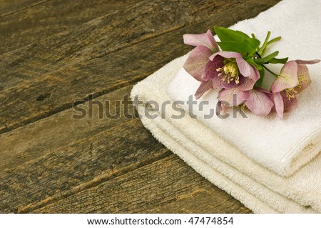 Natural spa elements of weathered wood and Hellebore flowers create a restful atmosphere