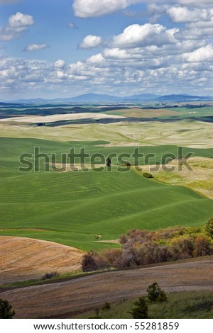 Rolling farmland of the Palouse region of southeastern Washington state, vertical format