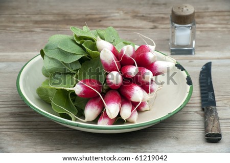 A Bunch Of Fresh French Breakfast Radish In A Enamel Dish, With A Knife and Salt Pot On A Wooden Kitchen Table
