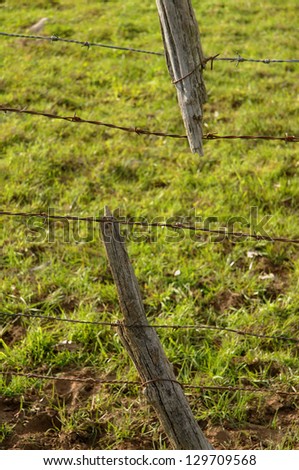 a broken fence post attached to barbed wire
