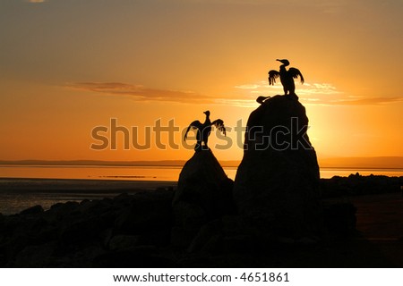 two cormorants on rocks  drying their wings