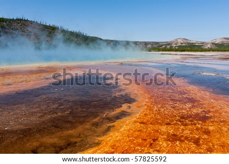 Microbial mats color the foreground as steam rises from Yellowstone\'s Grand Prismatic Spring