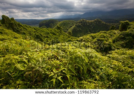 Lush, pristine, emerald green, tropical forest in mountainous region of a volcanic Pacific Island. Dark clouds indicate an incoming storm.