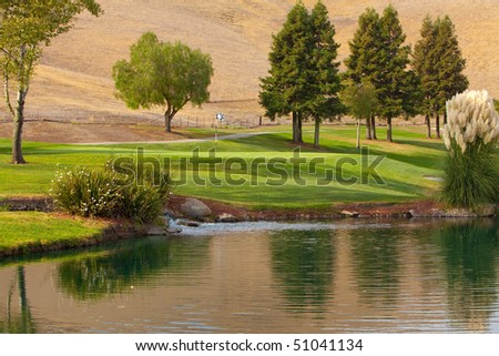 Beautiful golf course green next to a water hazard in late afternoon sunlight