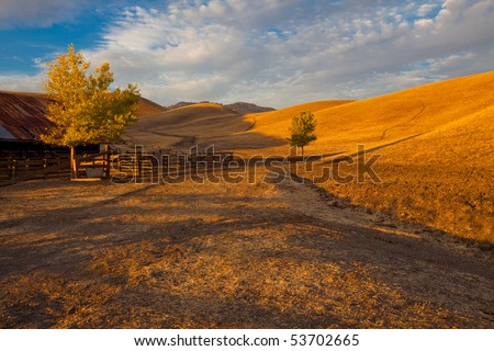 California farm land scene with rolling grassland / pasture hills and a path leading into the distance in early evening warm sunlight.