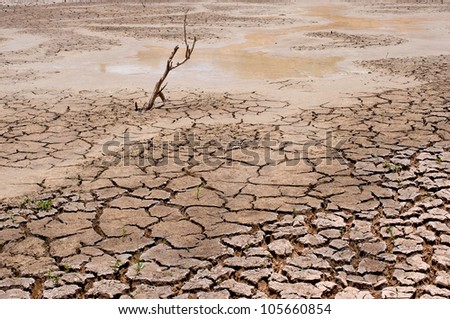 dry earth in the dry season in Thailand