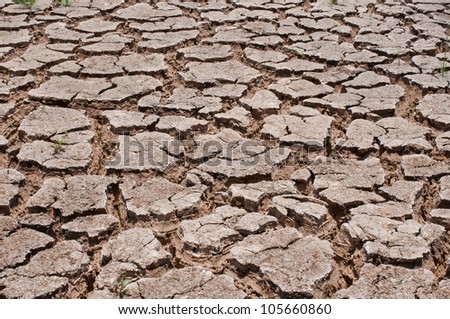 dry earth in the dry season in Thailand