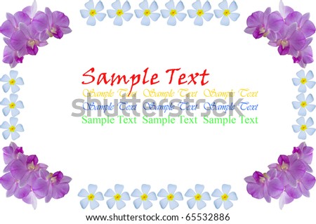 flower frame (purple orchid and temple flower)