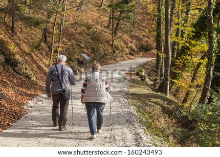 A couple of senior citizens walking on the path through the woods