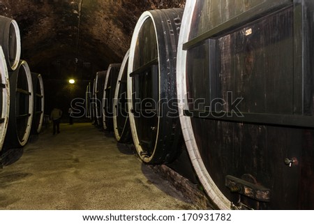 ILOK, CROATIA - MAY 4, 2012: Old wine cellar in Ilok, Croatia, with old oak barrels on display; a must see tourist attraction in Baranja region of Croatia.