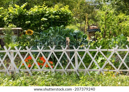 Wooden picket fence in the garden