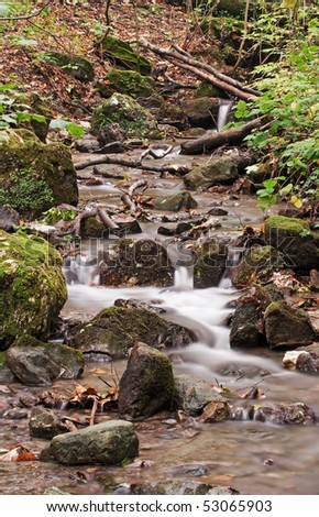 Forest scene showing a small waterfall on a creek in the woods