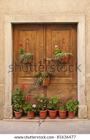 Brown wooden doors with flower pots in mediterranean town  Buzet, Istria, Croatia