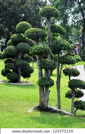 Landscape design. Shorn trees.  Round shape. Trees crown cutted into ball shape in garden.