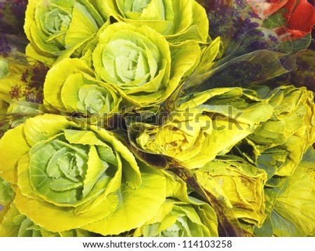 Chartreuse cabbage roses