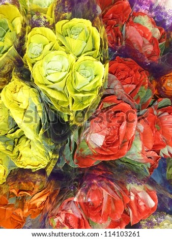 Orange and yellow cabbage roses