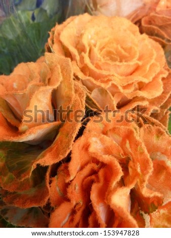 Golden cabbage roses