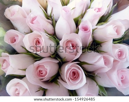 Sweetheart roses