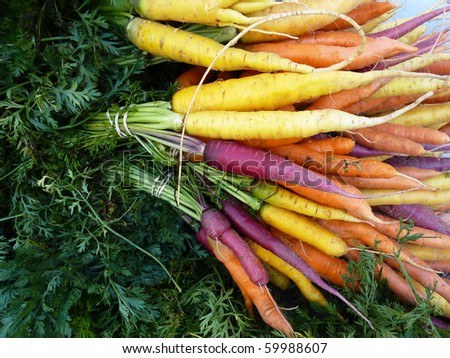 Colors Of Carrots