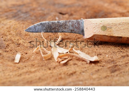 Macro shot of a wood carving knife