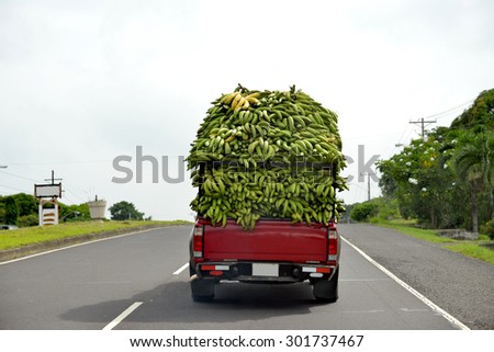 Small pick up carrying a load of Bananas to market in Panama