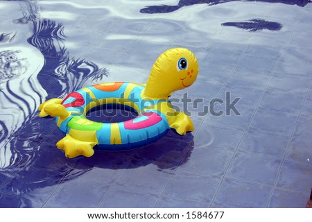 Pool Toy