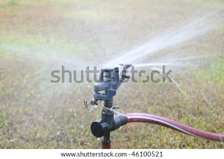 Water sprinkler working on a garden yard