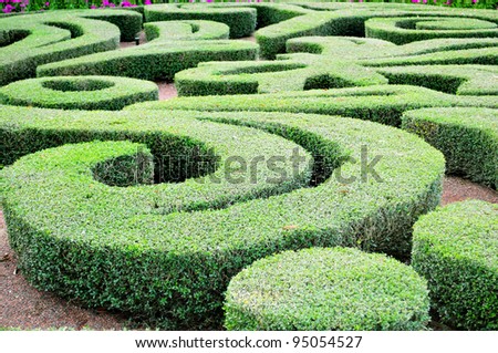 Beautiful labyrinth design in a house garden