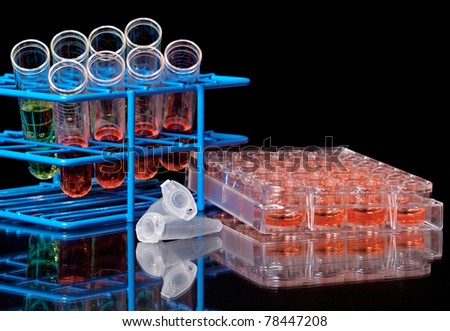 Assorted lab materials and chemicals