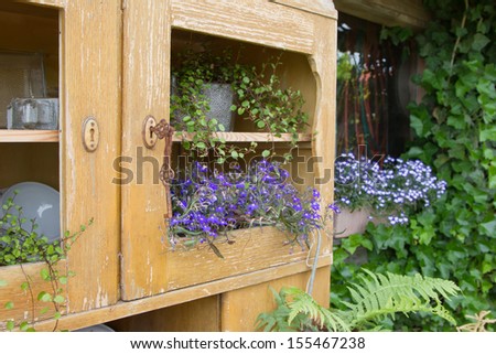 Old cupboard with flowers growing inside it