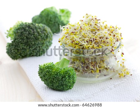 fresh broccoli sprouts in a glass