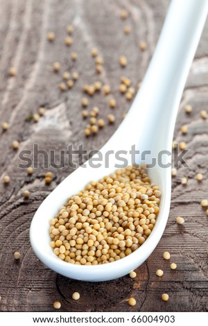 yellow mustard seeds on white spoon