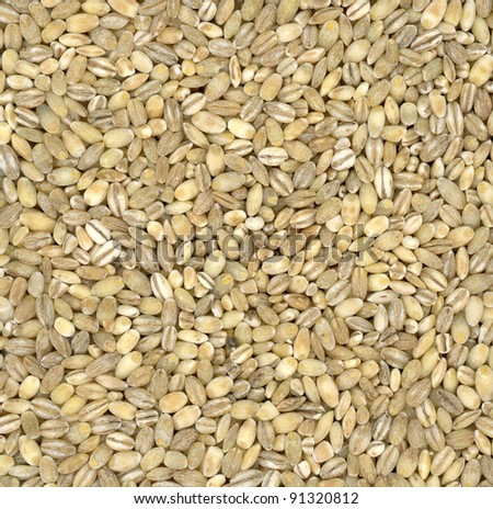 Pearl Barley background for your design