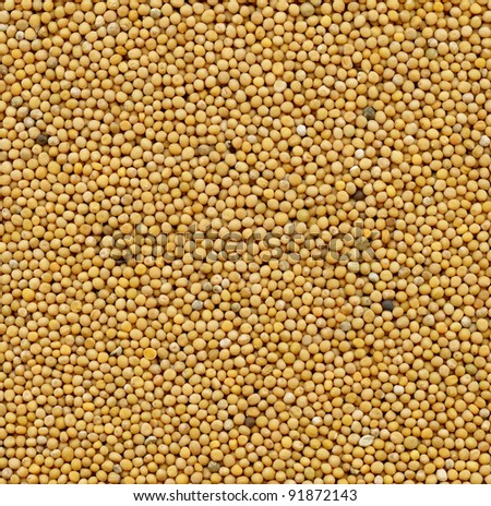 mustard seeds background for your design
