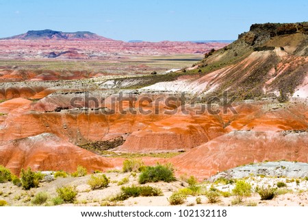 Painted Desert Bizarre Landscape Scene