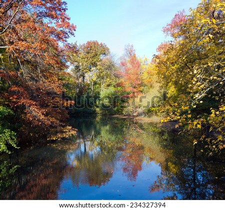 Central Park New York City - Scenic landscape of a pond in Fall