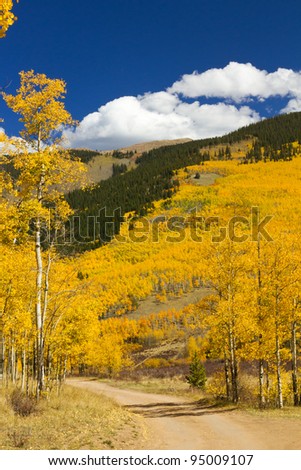 Dirt Road Through Colorado Aspen Forest In Fall #3