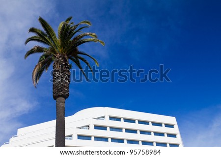 Palm tree and white office building isolated against blue sky background