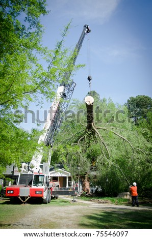 HOLLY SPRINGS, NC, USA - APRIL 18: After a tornado  a crane is removing a tree that fell on a home in the town of Holly Springs on April 18, 2010 in Holly Springs, NC, USA