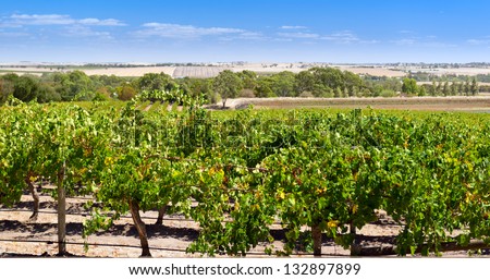 Famous wine region the Barossa Valley near Adelaide, South Australia