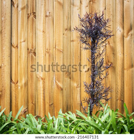 Landscape design background of multi coloured leaves and new wood panel fence
