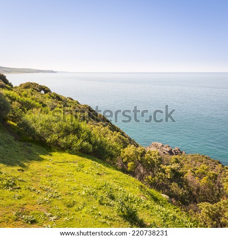 Landscape of the Australian coastline along South Australia\'s Fleurieu Peninsula