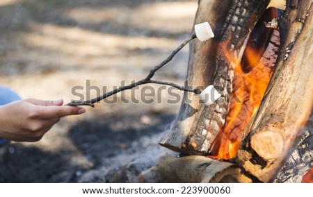 Person roasting marshmallows on a stick over a campfire while camping