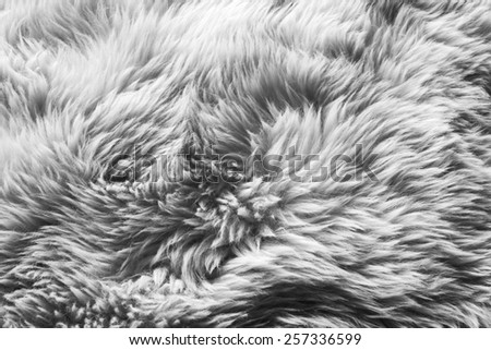 Luxurious wool texture from a white sheepskin rug in black and white
